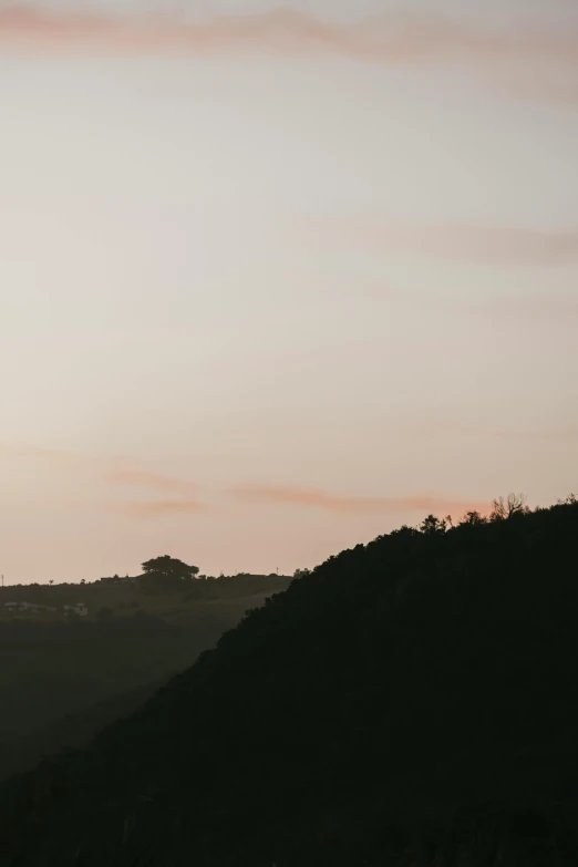 two giraffes on a hill against a pink and blue sky