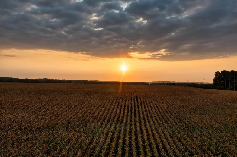 the sun rising above the horizon over a plowed field