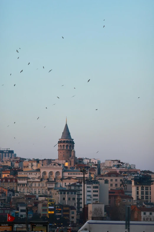 a city skyline with birds flying in the sky