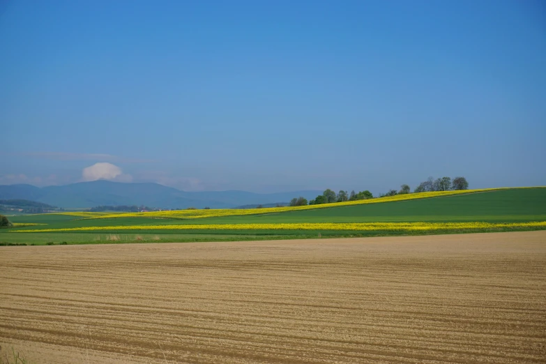 an empty dirt road in the middle of the countryside