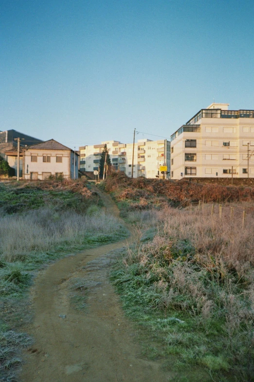 a grassy path in front of an urban area