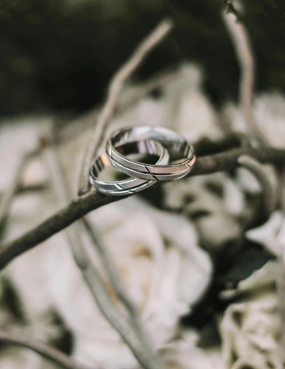 two wedding rings are placed on a thin nch