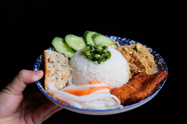 a hand holding a plate of rice, sauce and vegetables