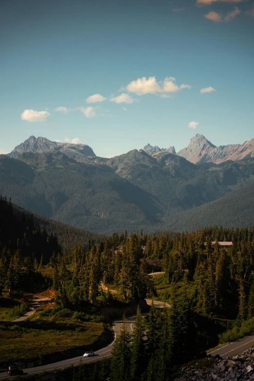 view of a river, trees and mountains taken from a overlook point