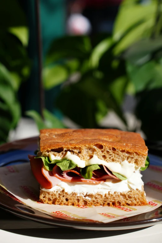 the sandwich on the plate is on top of a plastic container