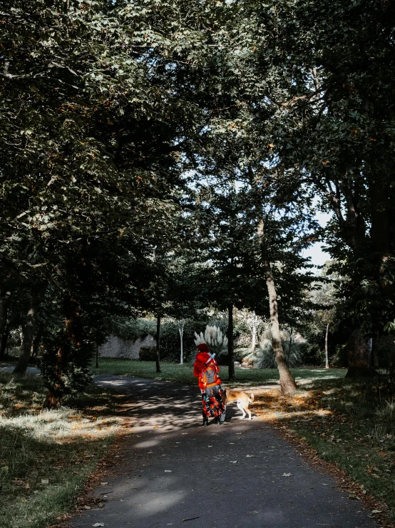 a red scooter sitting parked on the side of a road near trees