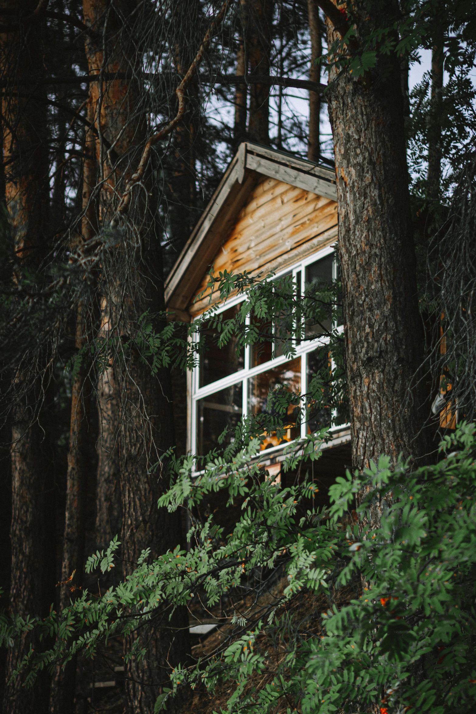 a tree cabin is built on a hill