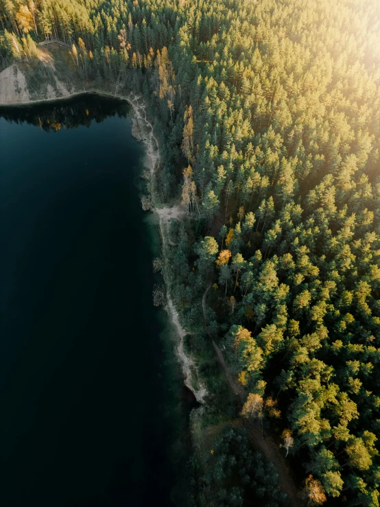 aerial view of a body of water surrounded by trees