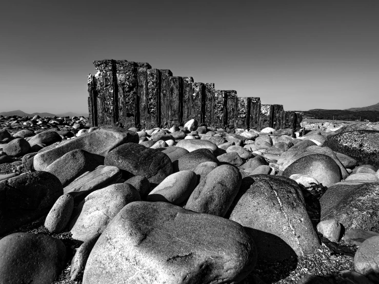 some rocks and plants are in black and white