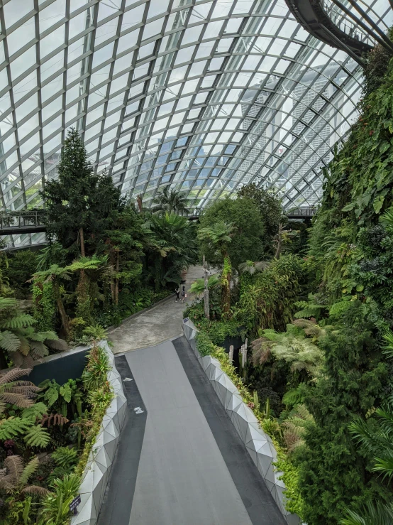 a walkway leading up to the roof of a large greenhouse