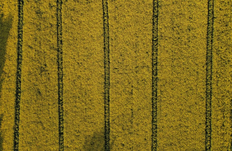 aerial s of an array of thin lines