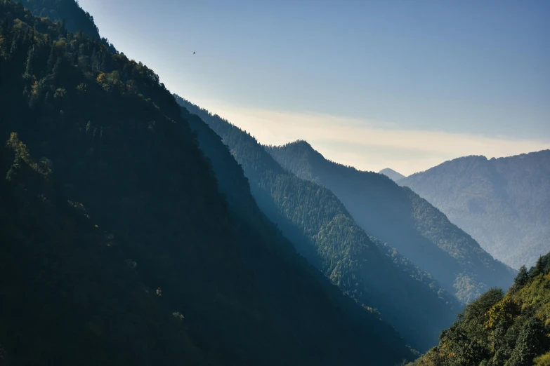 the mountains are surrounded by a large area of trees