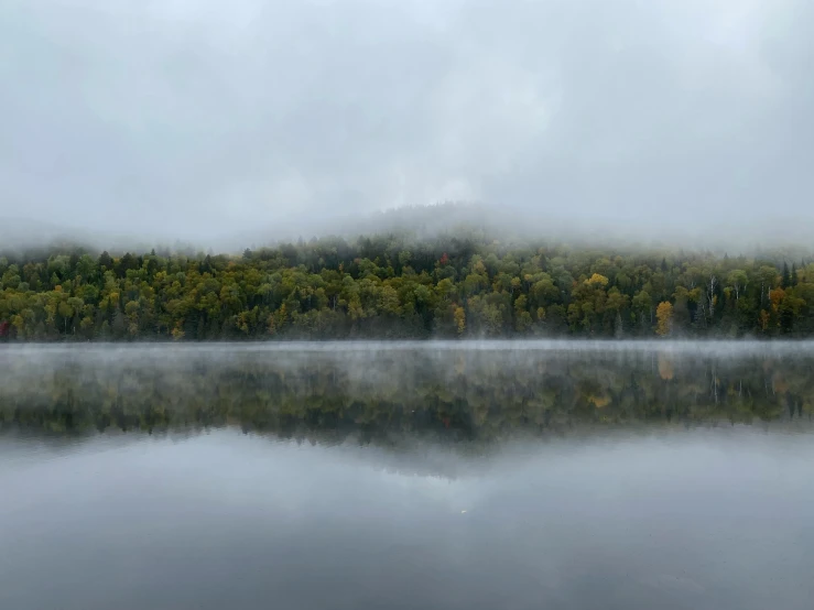 a foggy morning over the water has many trees lining a forest