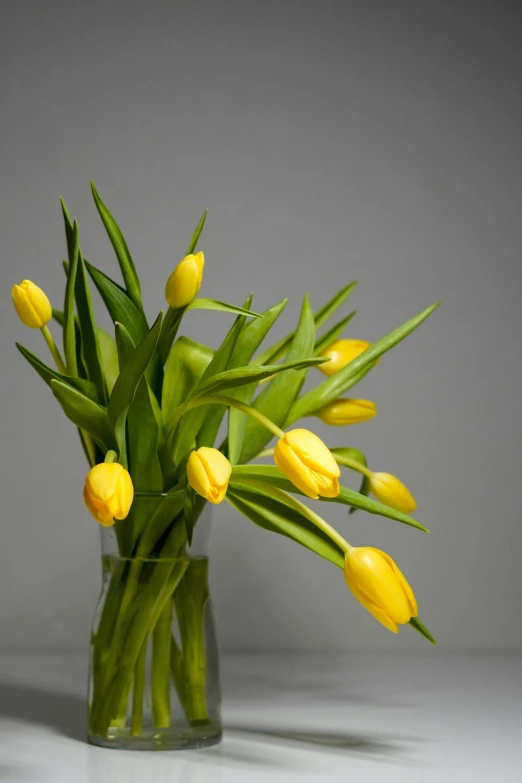 a vase with some yellow flowers in it