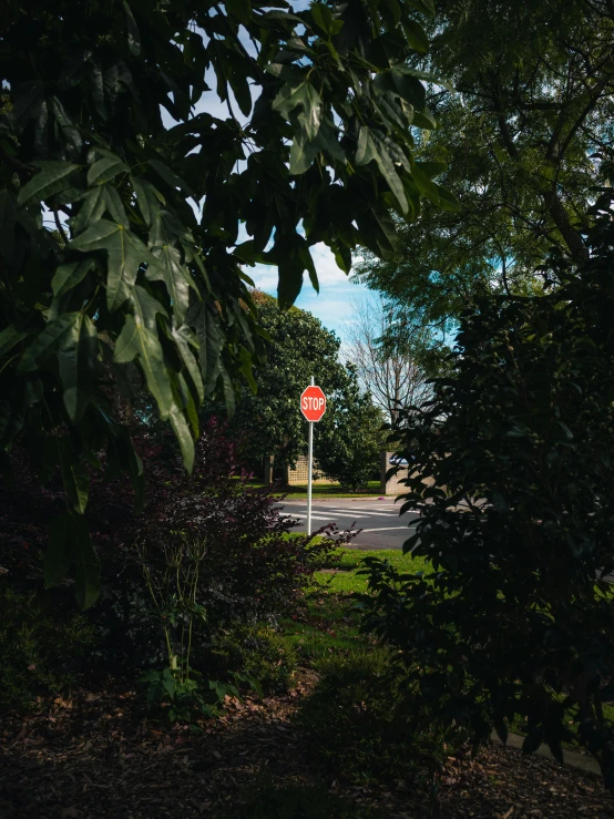 there are two red signs next to the street