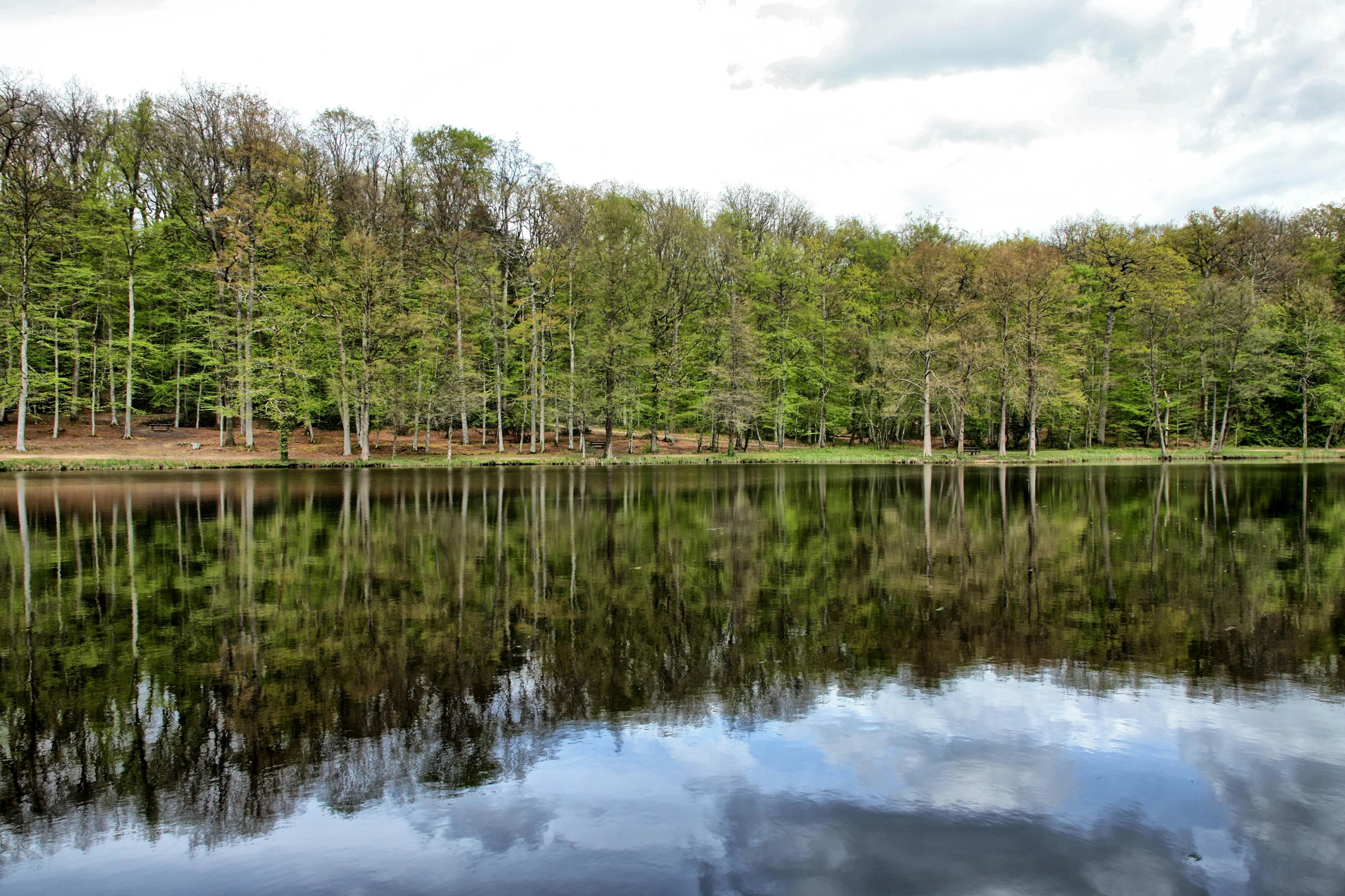 a calm lake surrounded by trees and a sky