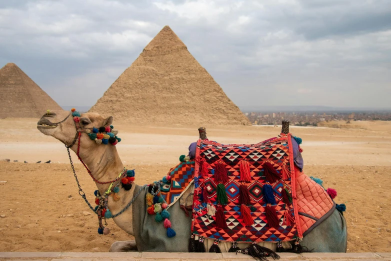 two very large pyramids in the background of a camel