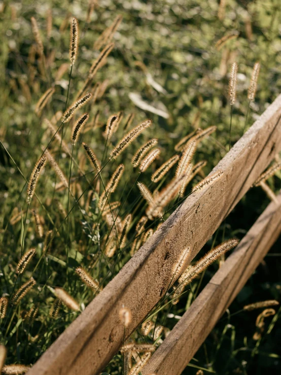 a wooden fence near a grassy field