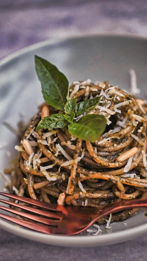 this pasta dish has a small green leaf on top