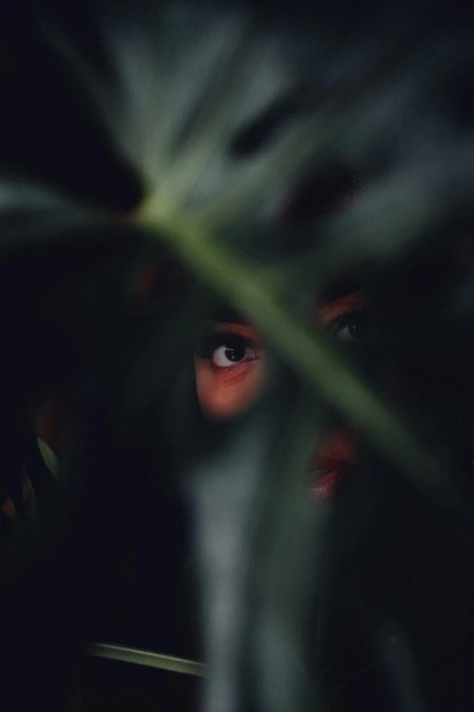 the eyes of a person peeking through a leafy green plant