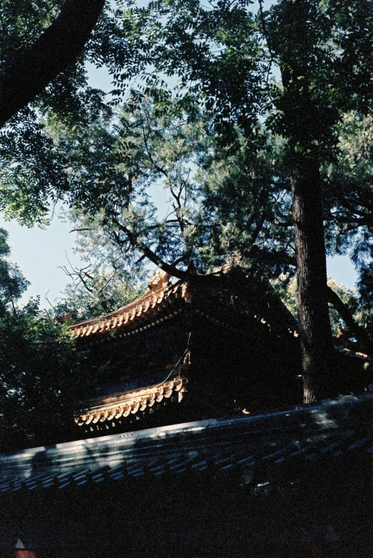 the roof of an old building in front of trees