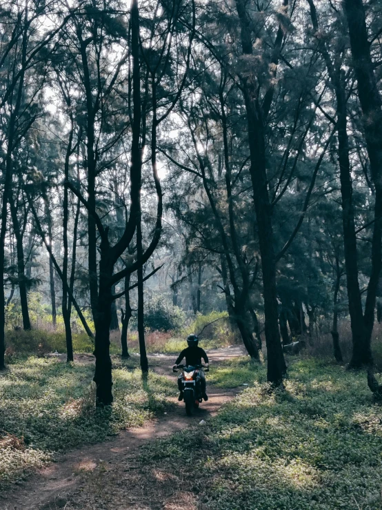 person sitting on motorcycle parked in the woods