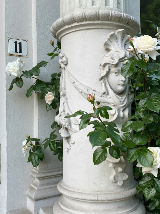 white planter with roses growing out of it on outside of the building