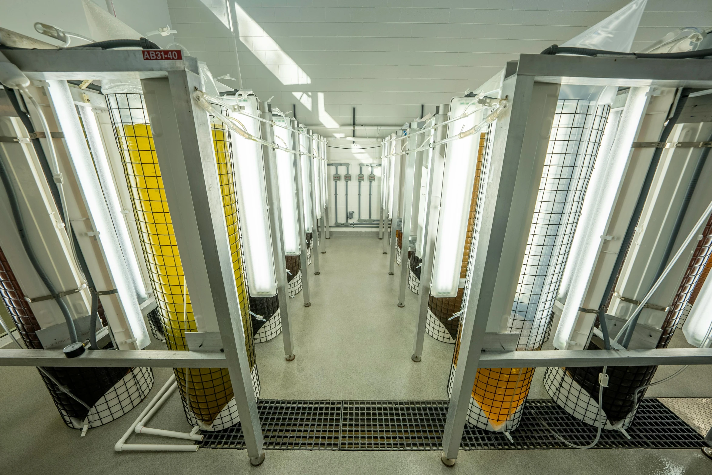 a line of white containers lined up in a room