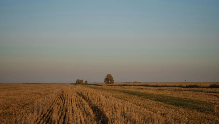 large field and grassy land under a bright blue sky