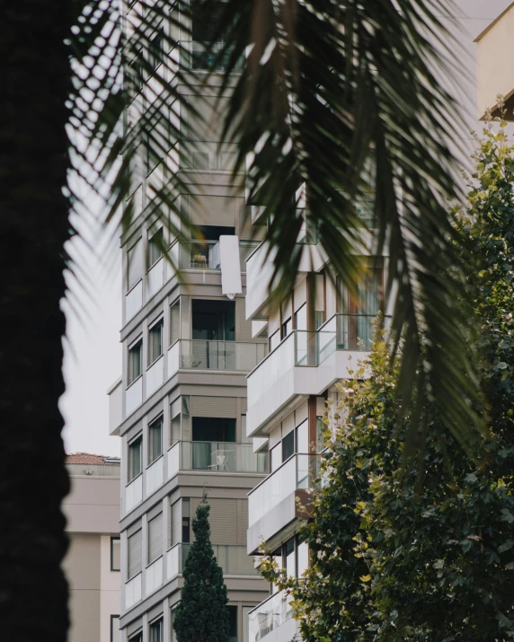 a picture taken from the outside of a building and looking up at palm trees