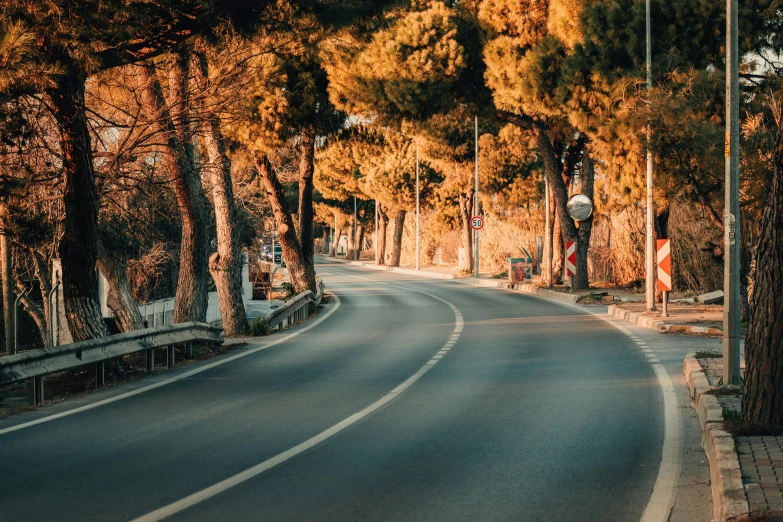 a very winding, empty road surrounded by trees