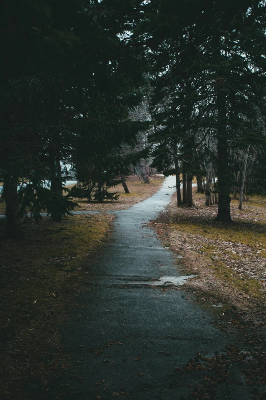 a single road leading to several trees in the distance