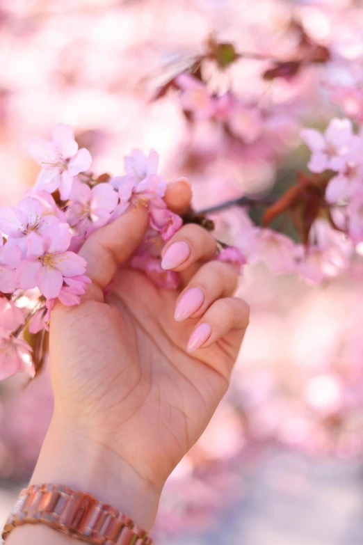 a woman holding a flower and touching it