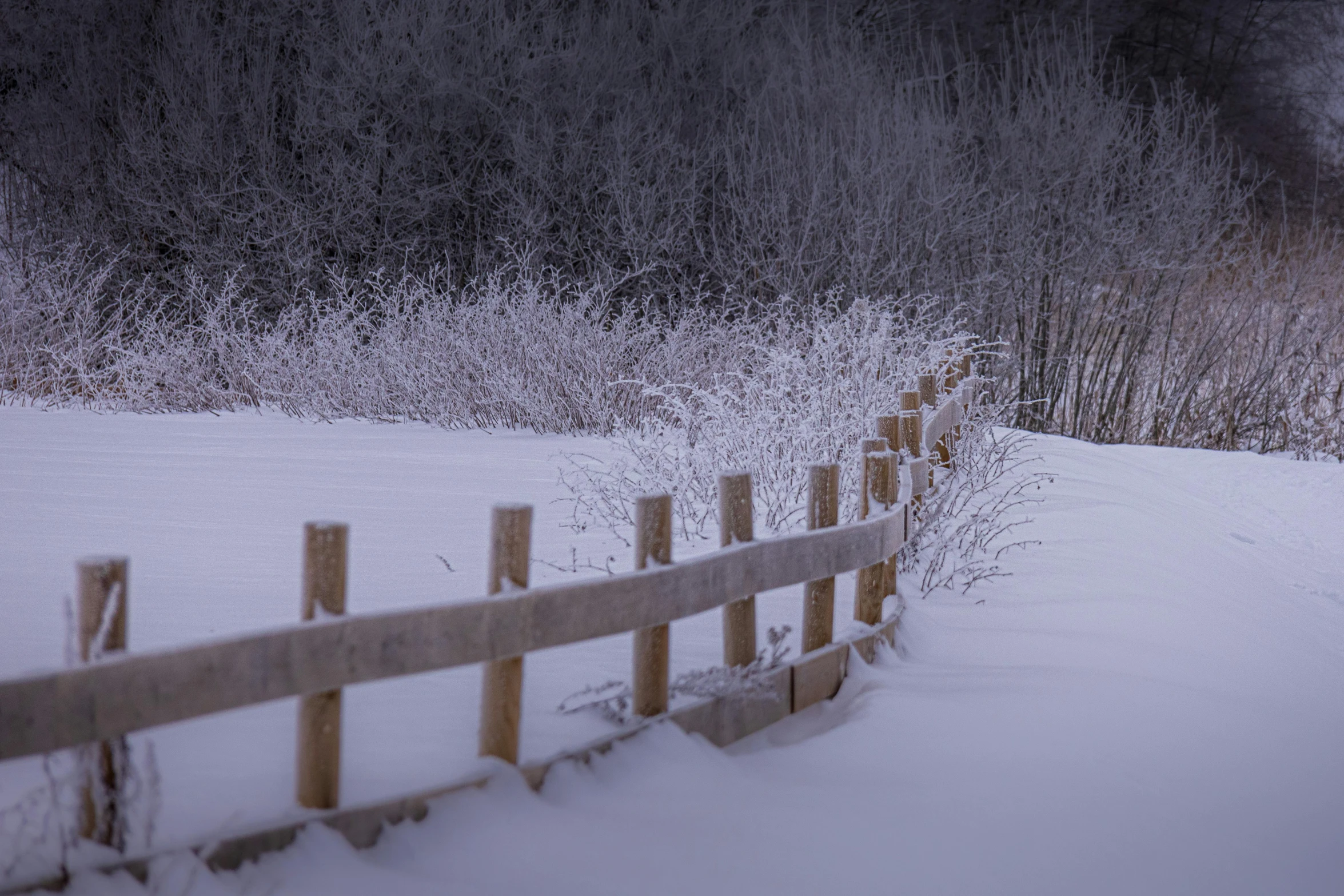 a fence with snow all over the top in the snow