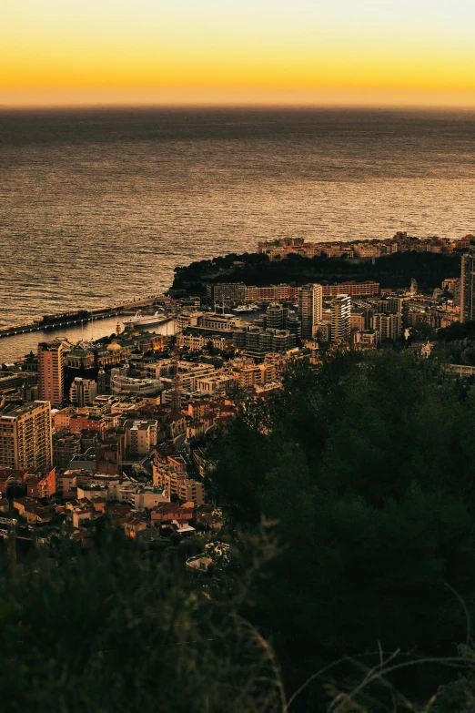 a bird flying over a city by the ocean