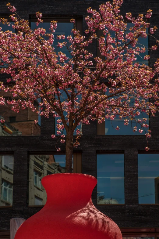 large vase with pink flowers in front of windows