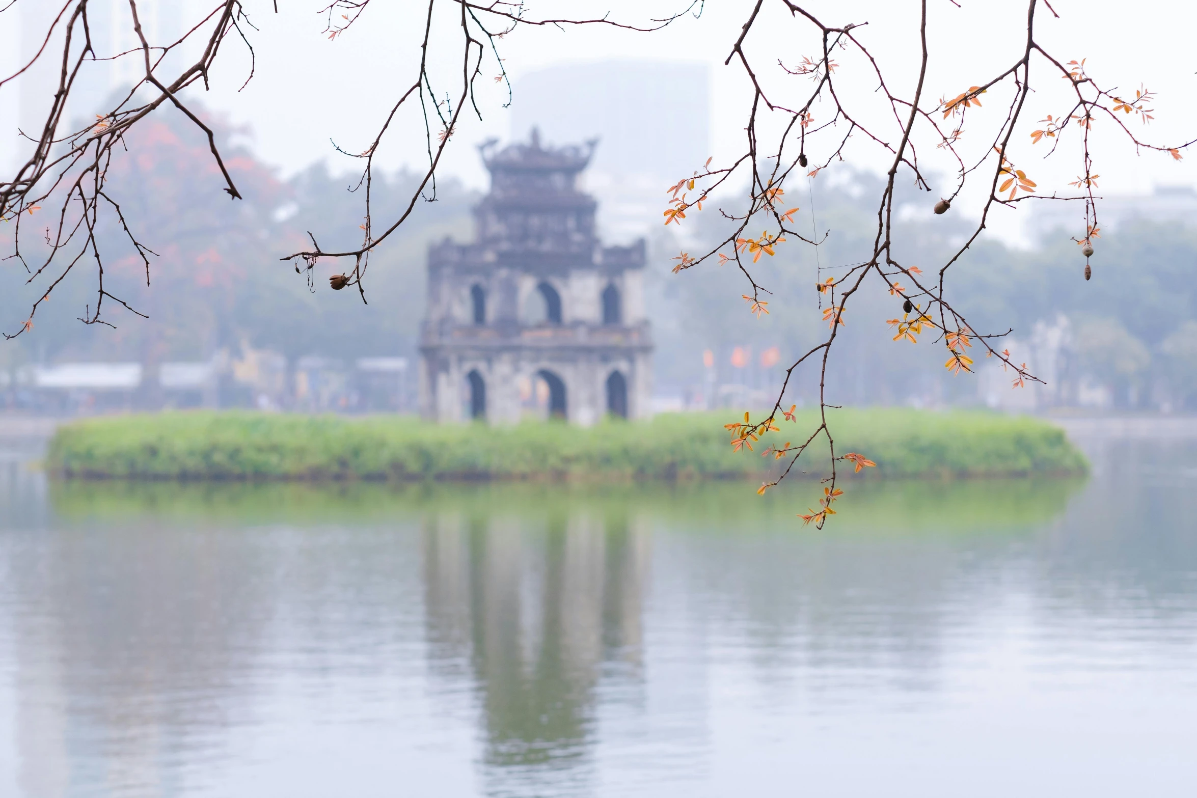 a body of water surrounded by trees with a building in the background