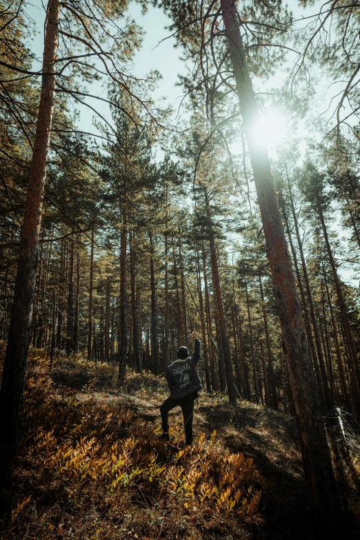 person walking in an area with trees