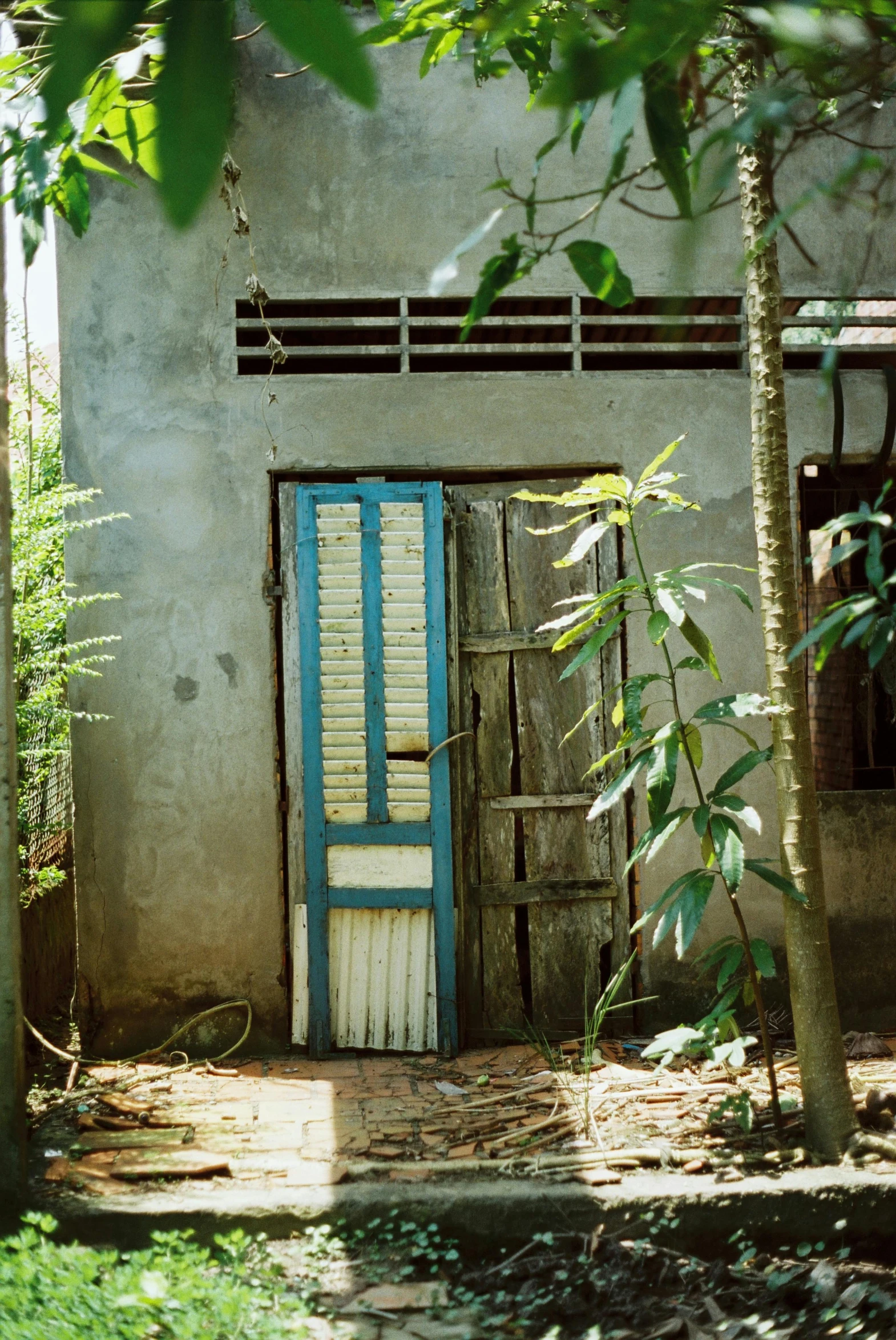 an old door with a wooden lattice on top of it and some plants around it