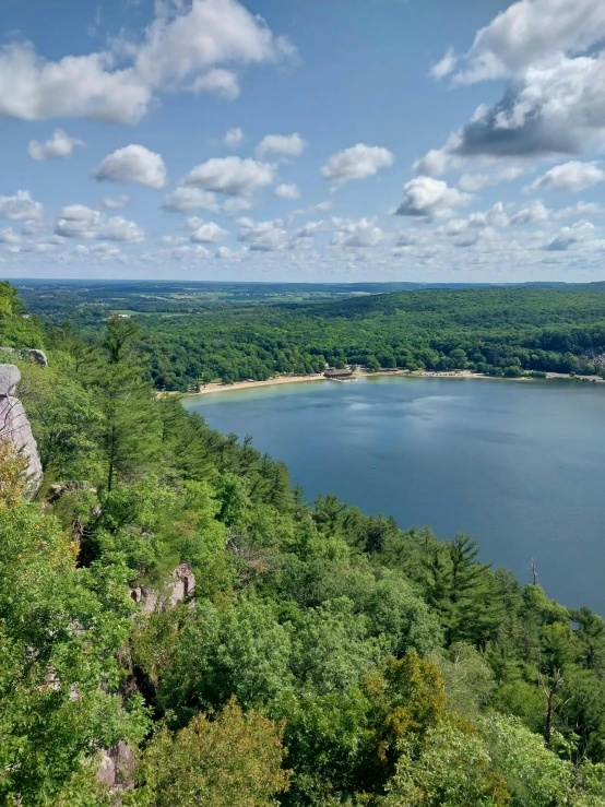 looking over trees at an overlook and blue lake