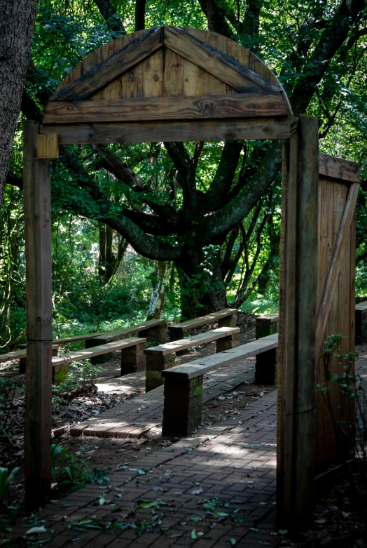 an open park bench in the shade under trees