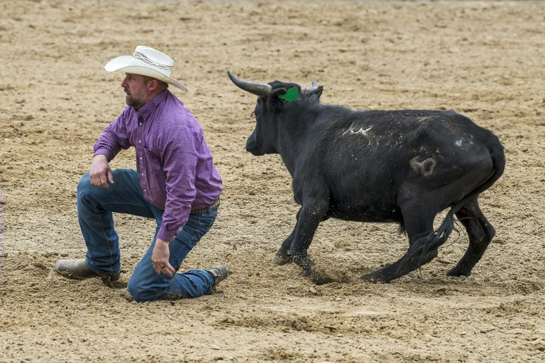 a man kneeling down while standing next to a cow