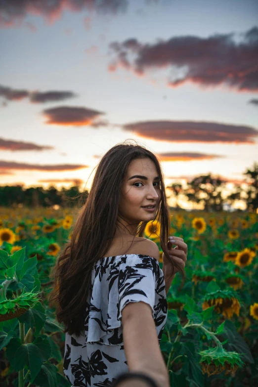 a person taking a po of the sunflower