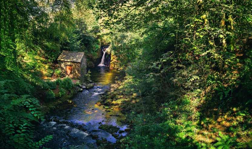 a small building sits amongst tall trees next to a stream