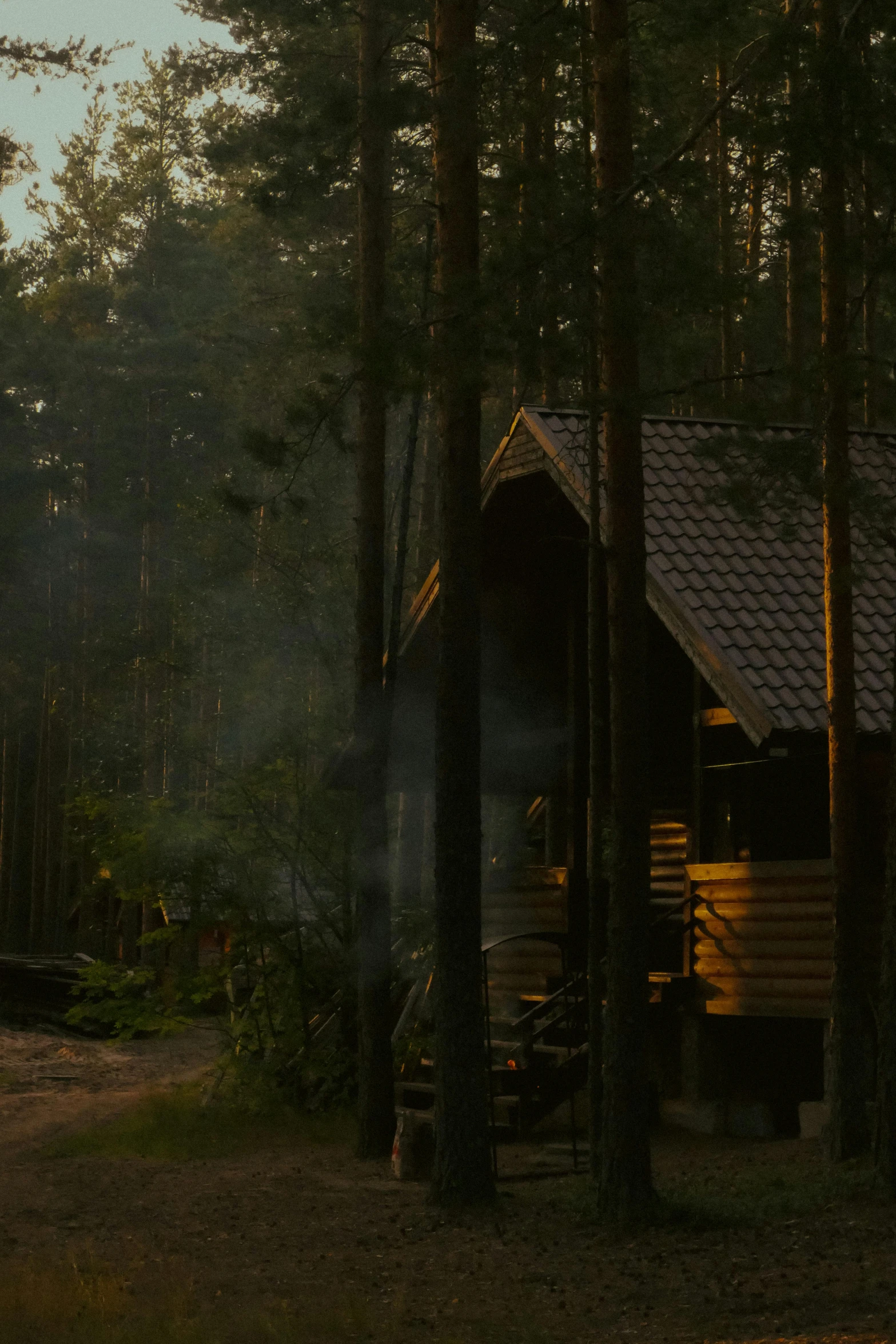 a small cabin nestled in the woods surrounded by tall trees