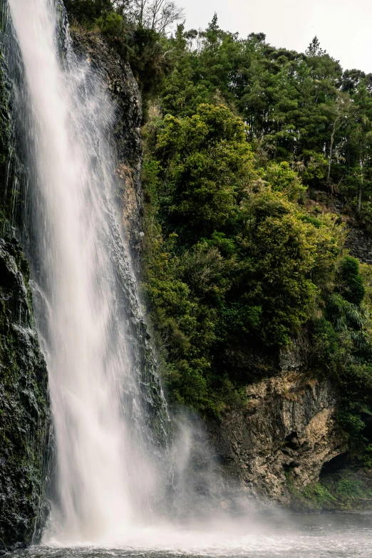 the horse is sitting in front of the waterfall