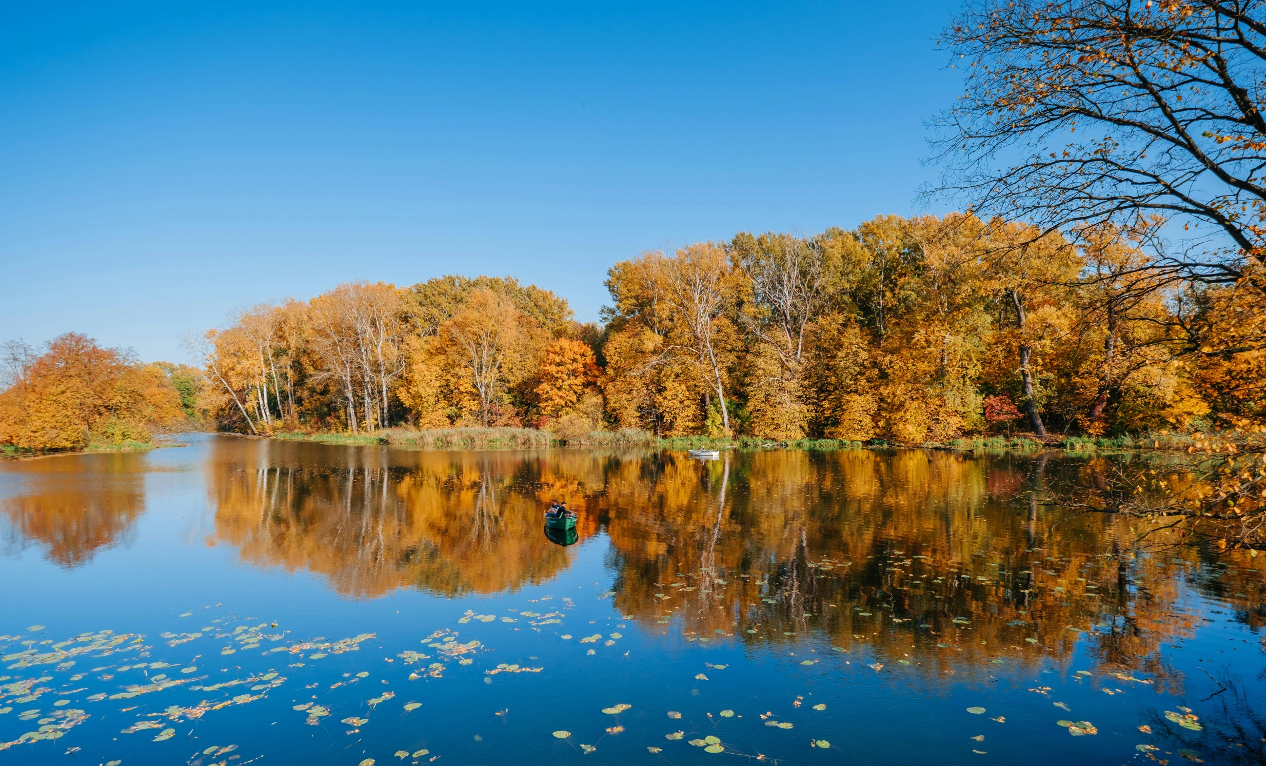 fall foliage reflected in a lake near a forest