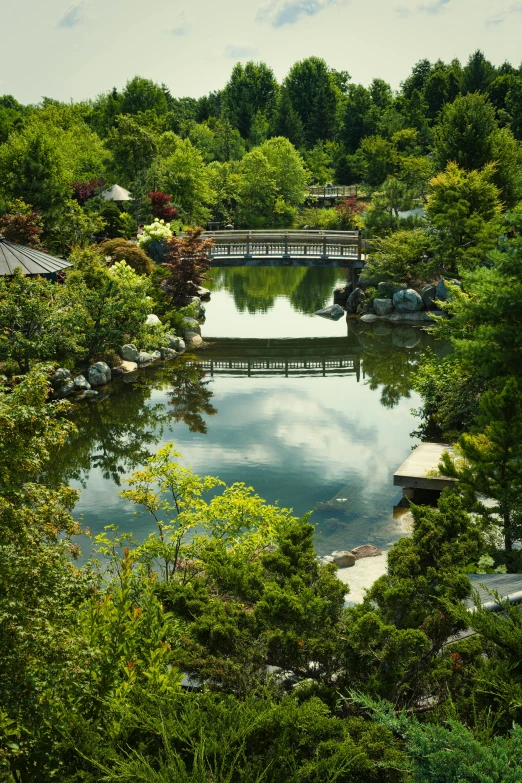 the water is reflecting many of the surrounding trees