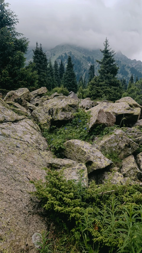 a bunch of large rocks on top of a hill