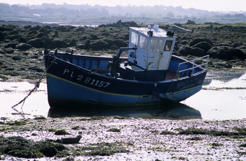 blue boat anchored in shallow water on shore